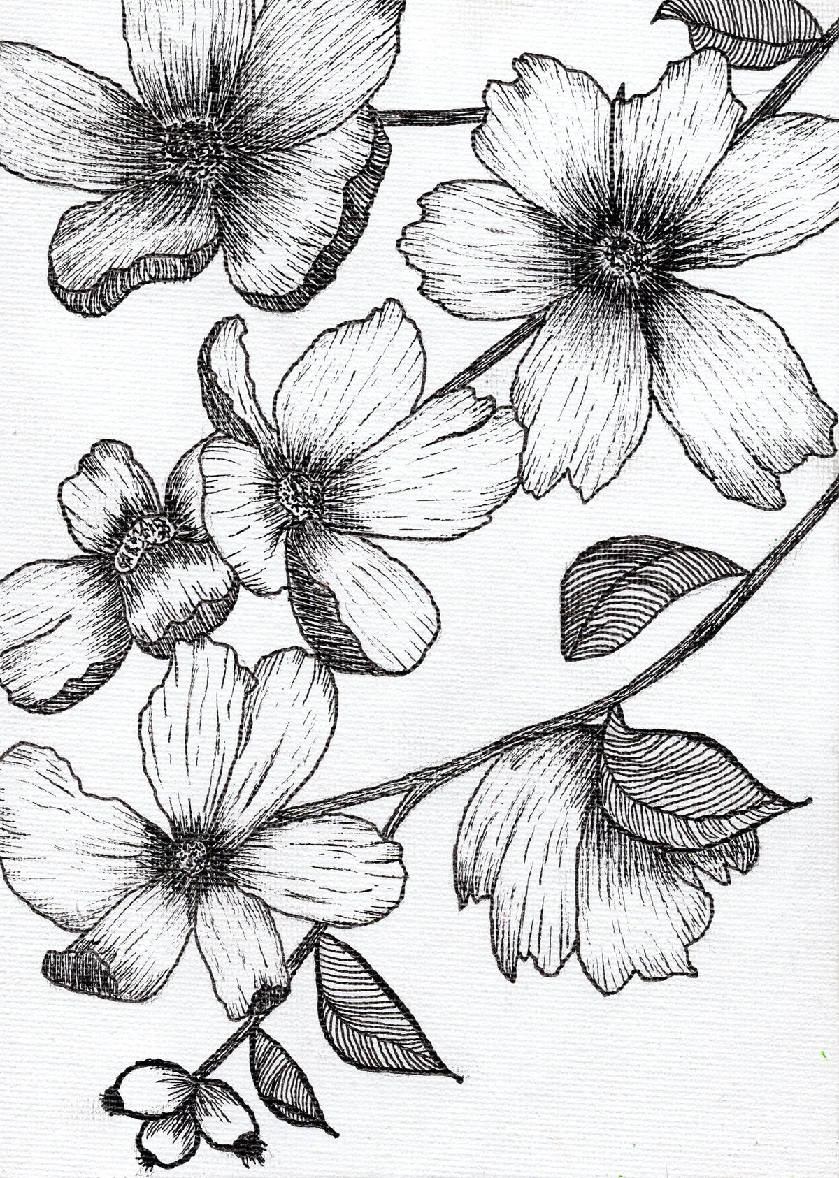 Floral Fuckery No. 1