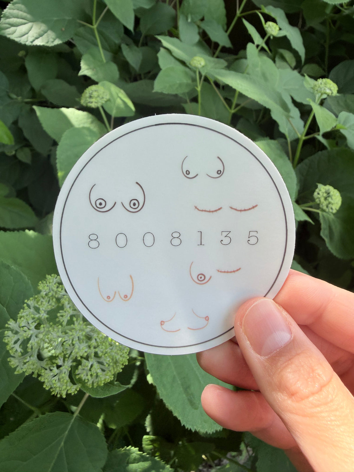 Boobies Sticker