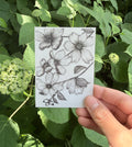 Floral Fuckery No. 1 Sticker