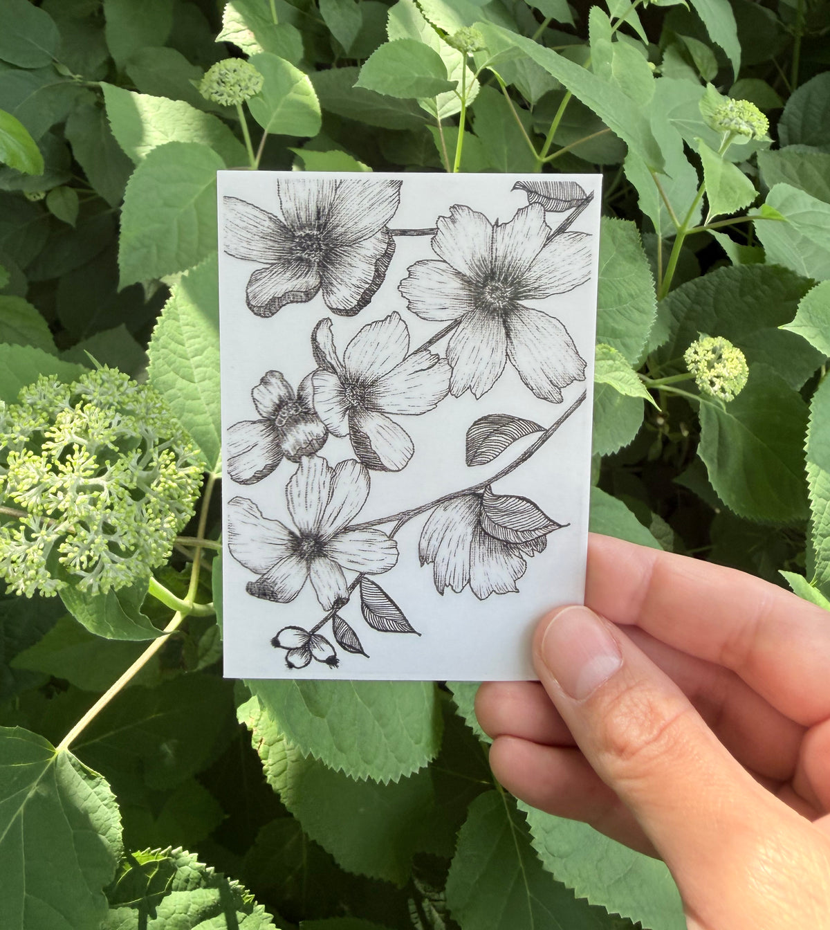 Floral Fuckery No. 1 Sticker