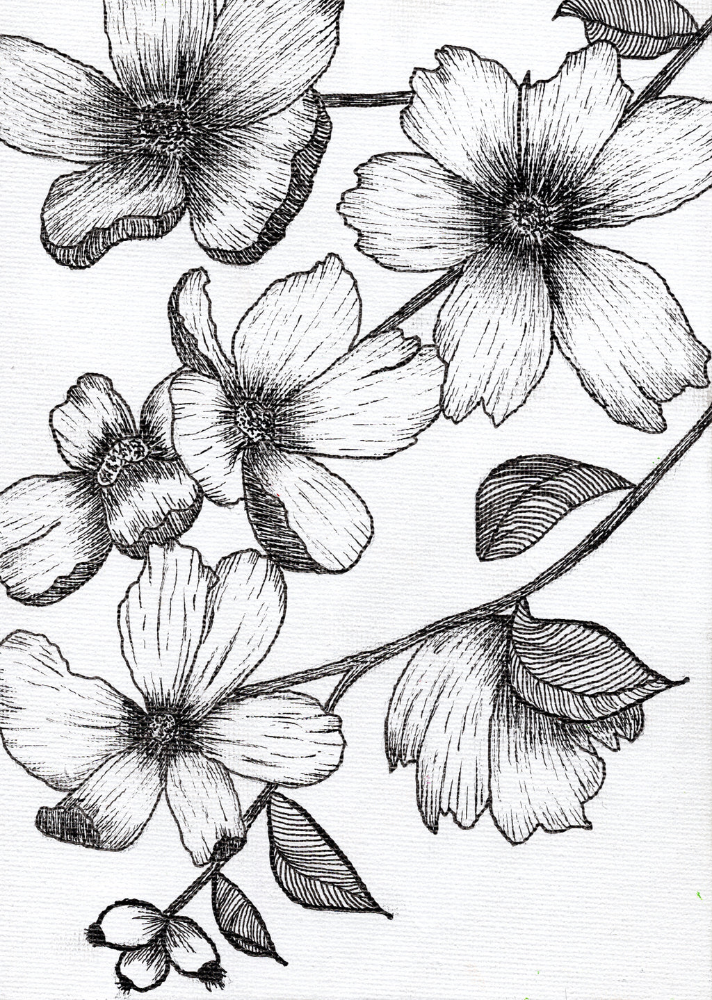 Floral Fuckery No. 1 - Original & Prints