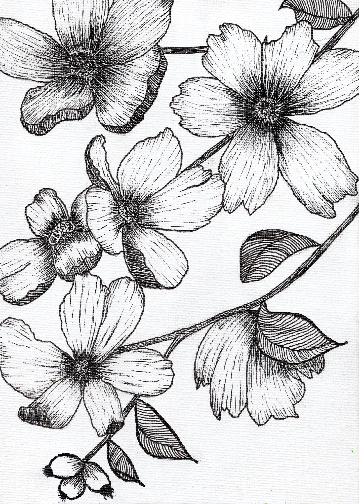 Floral Fuckery No. 1 - Original & Prints