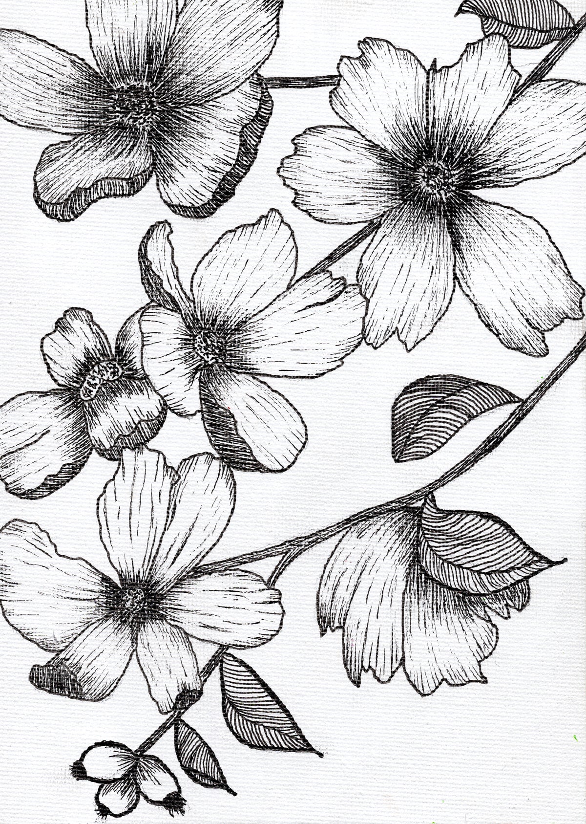 Floral Fuckery No. 1 - Original & Prints