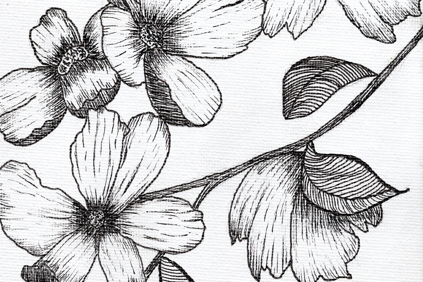 Floral Fuckery No. 1 - Original & Prints