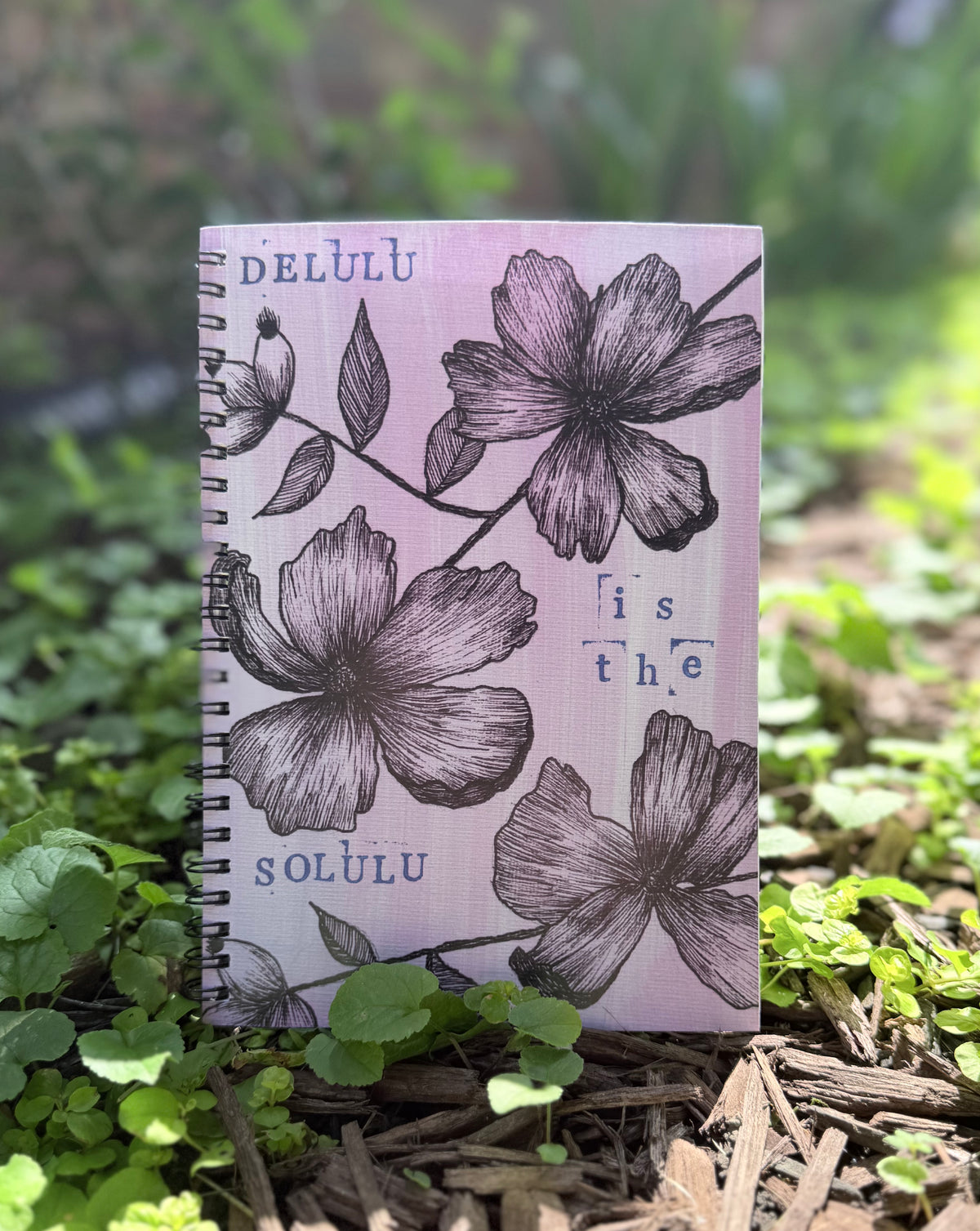 Delulu is the Solulu Notebook
