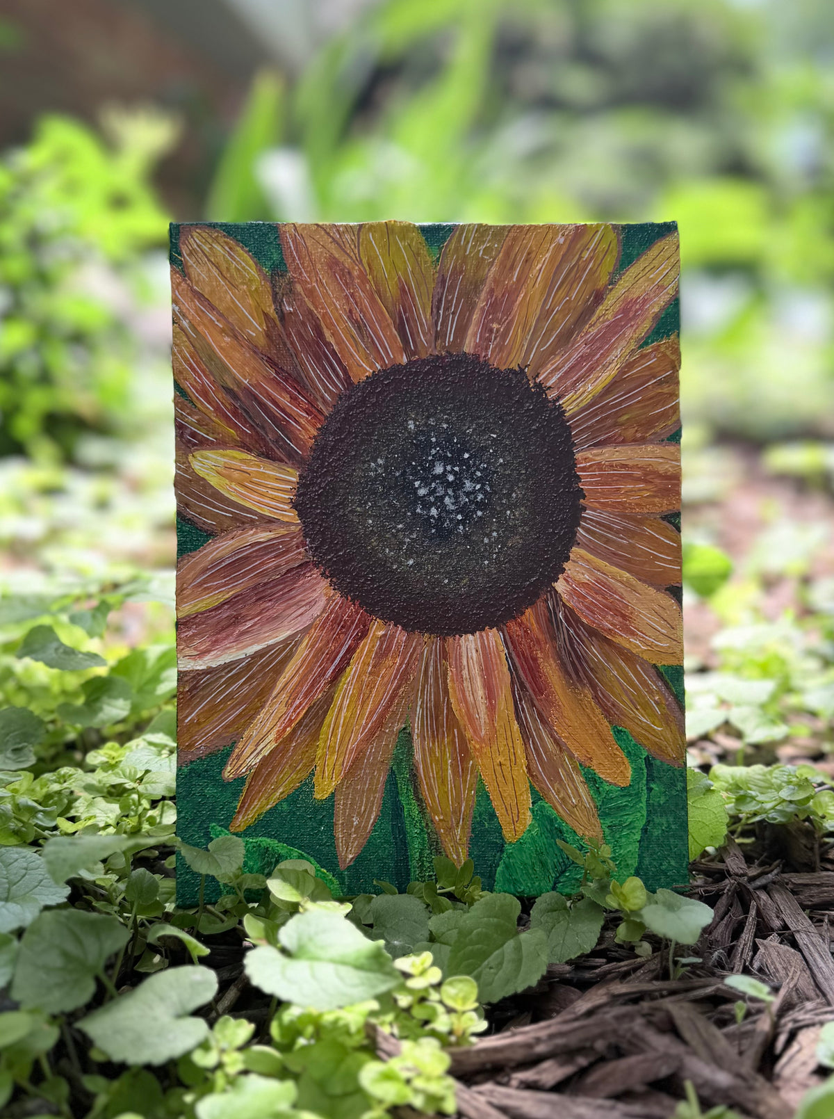 Sunflower - Original & Prints