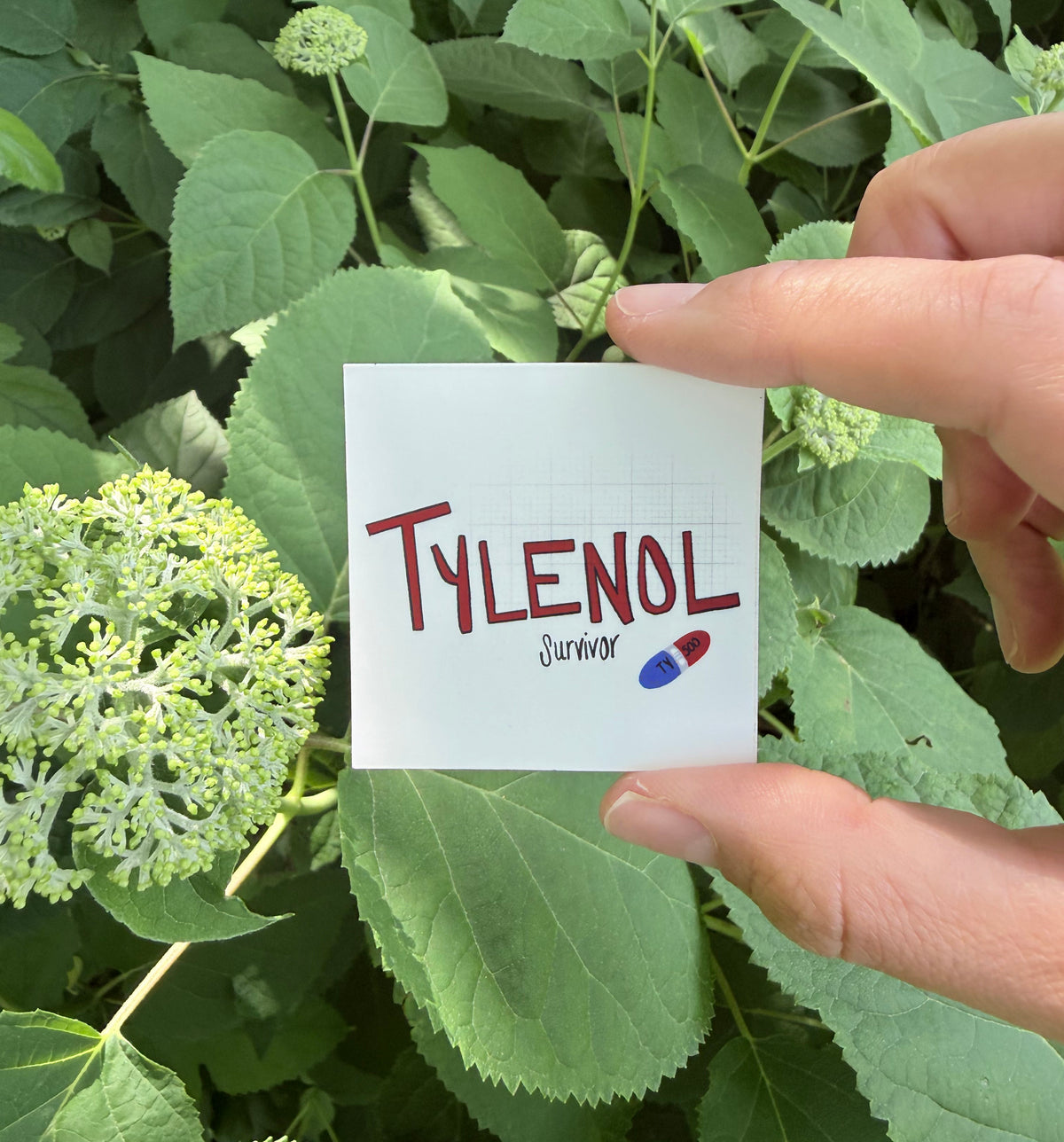 Tylenol Survivor Sticker